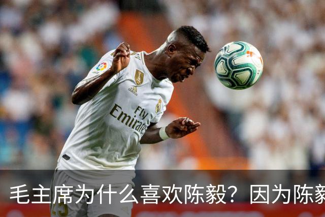 毛主席为什么喜欢陈毅？因为陈毅有5大优点，有点偏爱也算正常