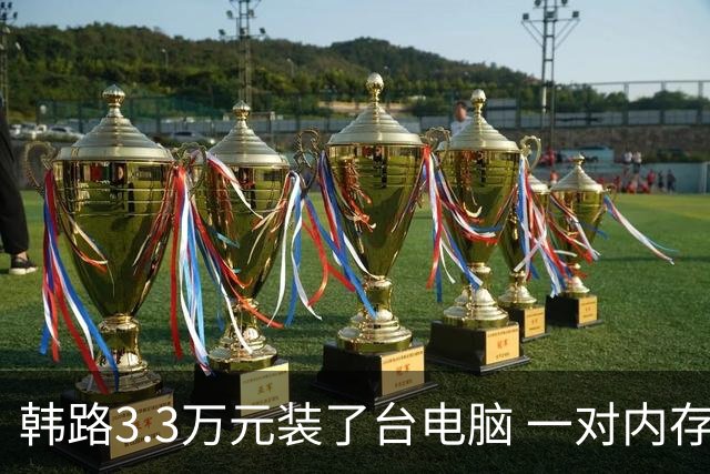 韩路3.3万元装了台电脑 一对内存就花了近9千元
