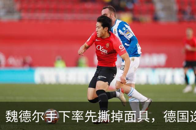 魏德尔手下率先撕掉面具，德国选择党计划用枪炮对付移民