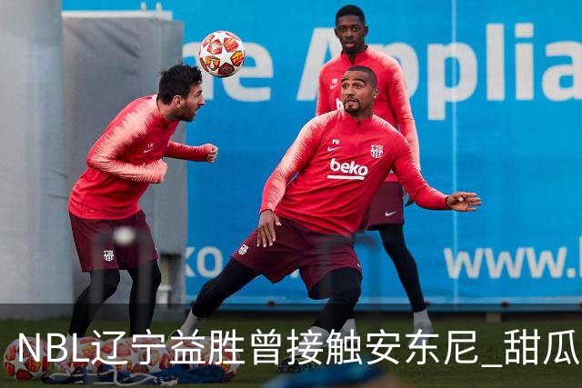 NBL辽宁益胜曾接触安东尼 甜瓜不想去海外打球